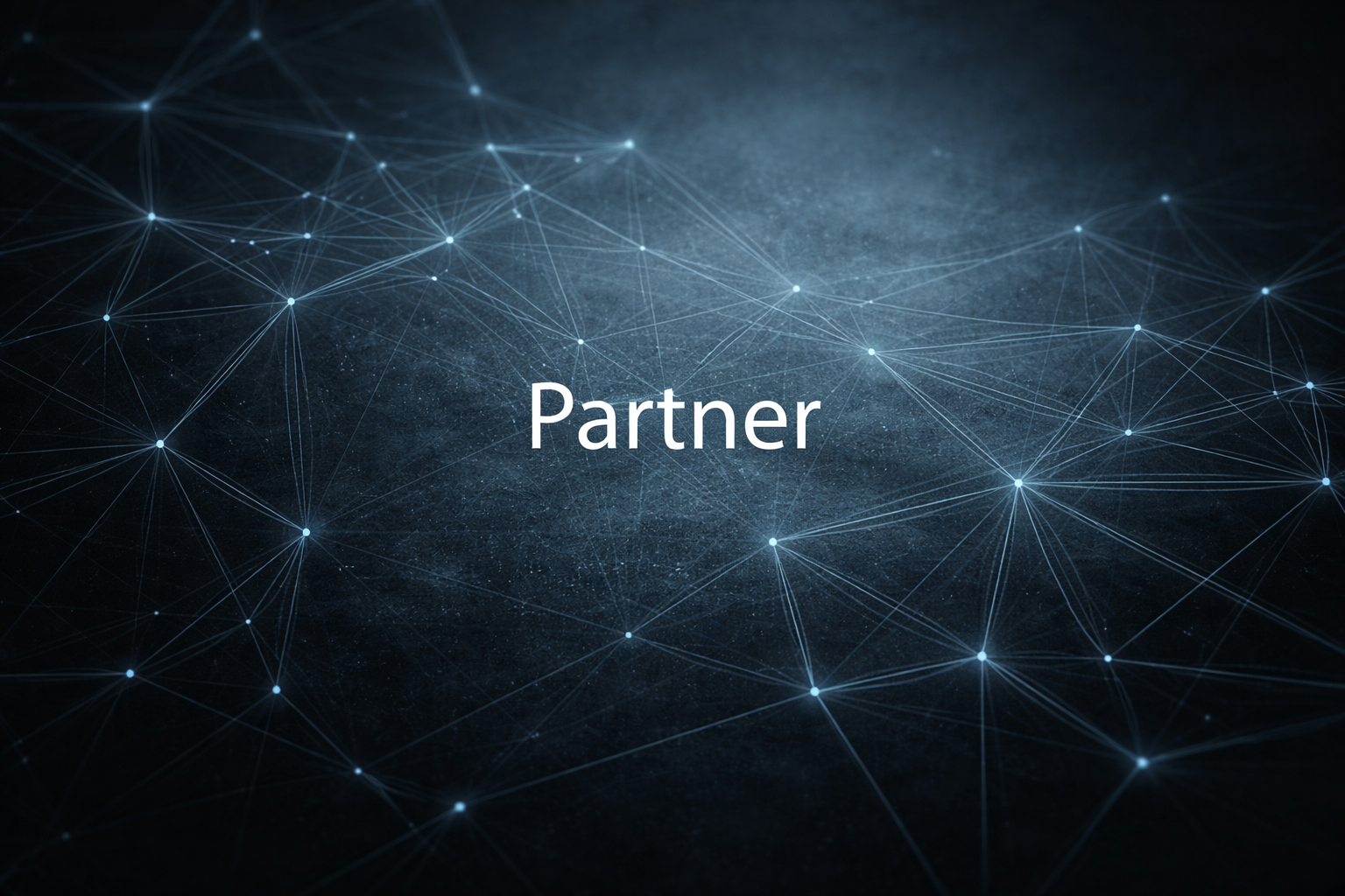 Partnernetzwerk – Sustainable Business Solutions